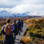 holiday tours of new zealand