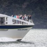 fiordland doubtful sound cruise
