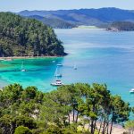 holiday tours of new zealand